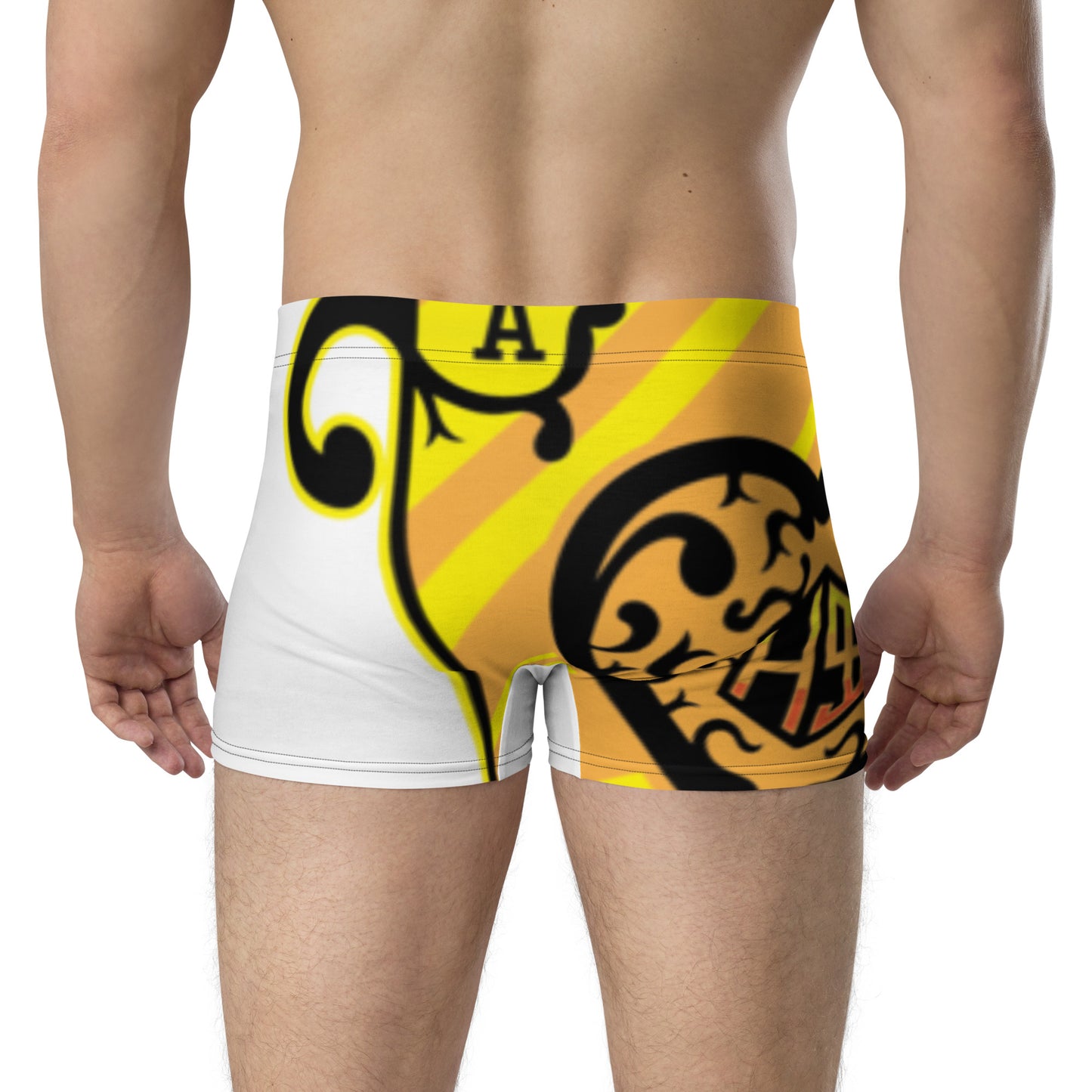 R52 Men Boxer Briefs