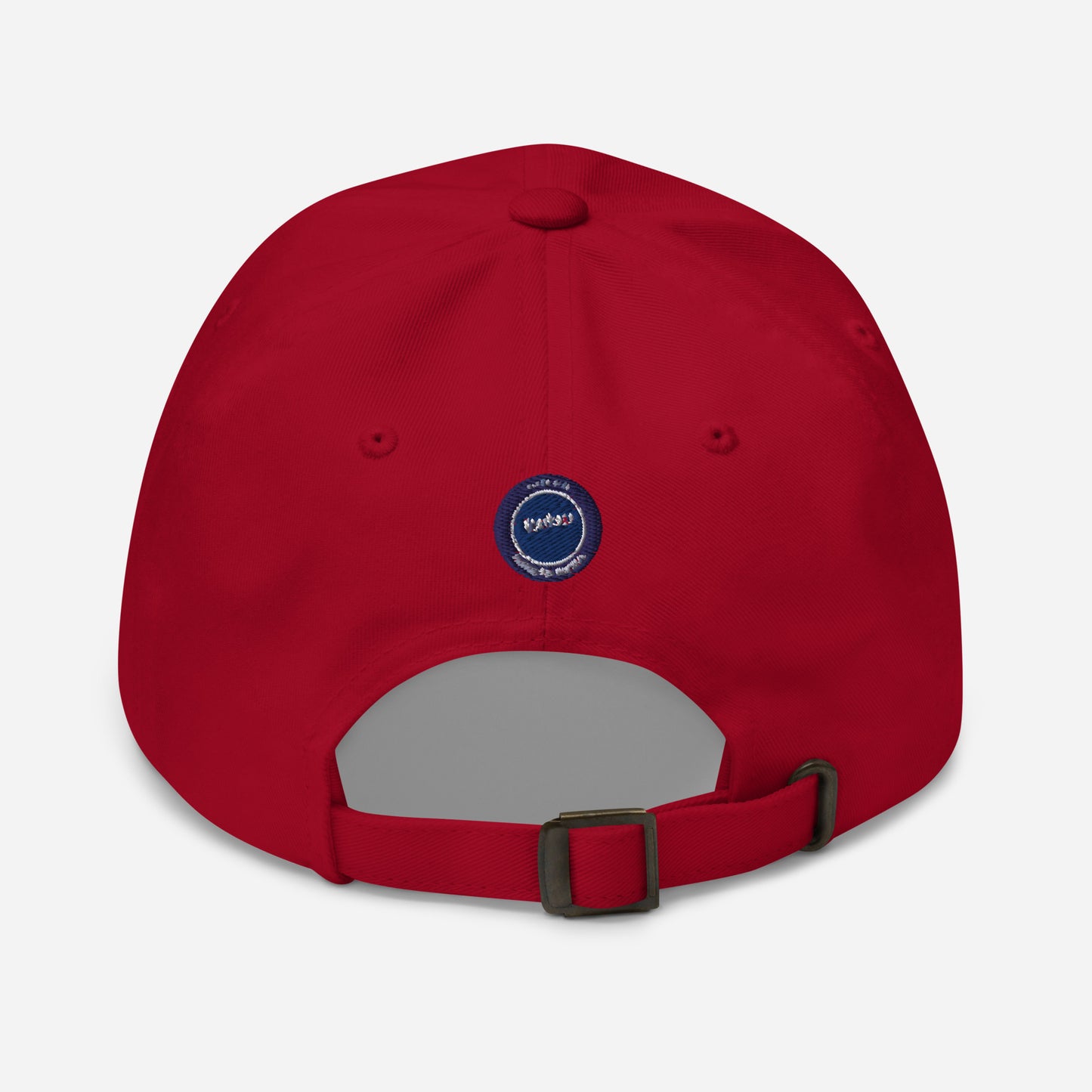 Dream Big Make Money dad's hat