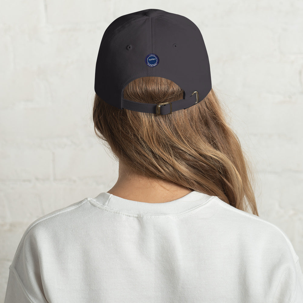 Dream Big Make Money dad's hat