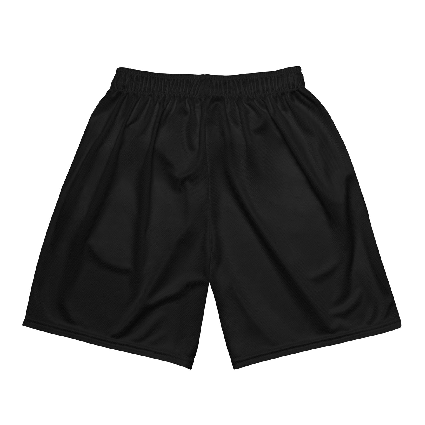 Born Legend Men's mesh shorts