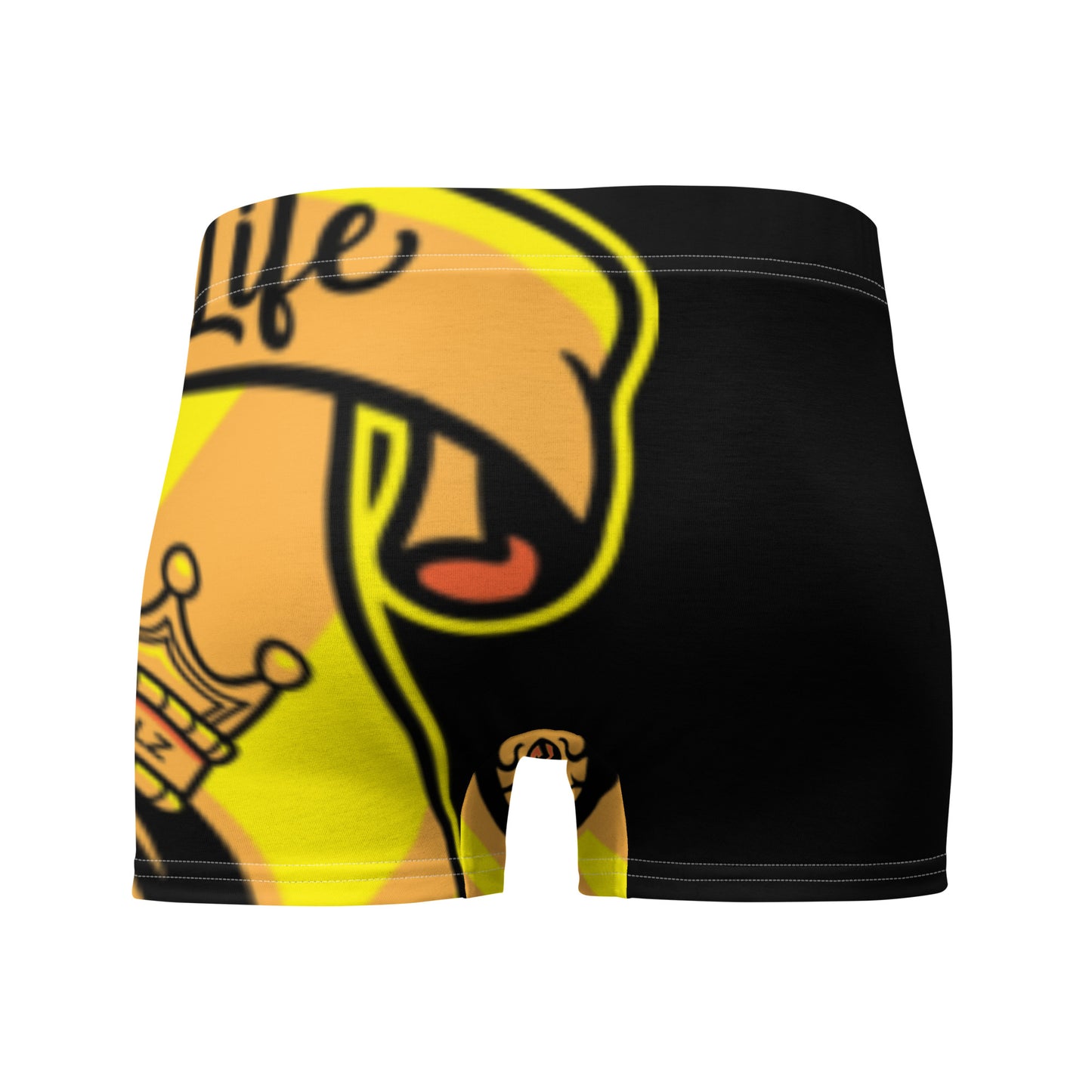 R52 Men Boxer Briefs