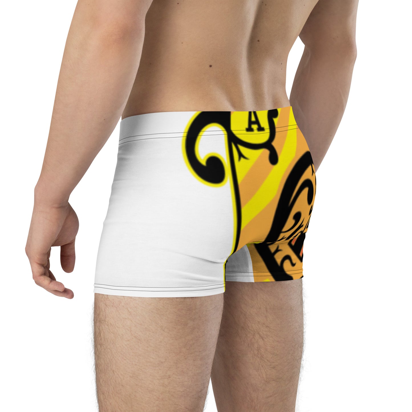 R52 Men Boxer Briefs