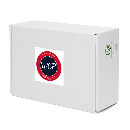 WCP (Men’s high top canvas shoes)
