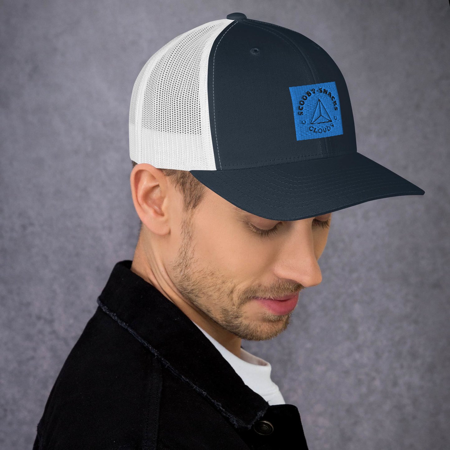 Cloud9 (Trucker Cap)