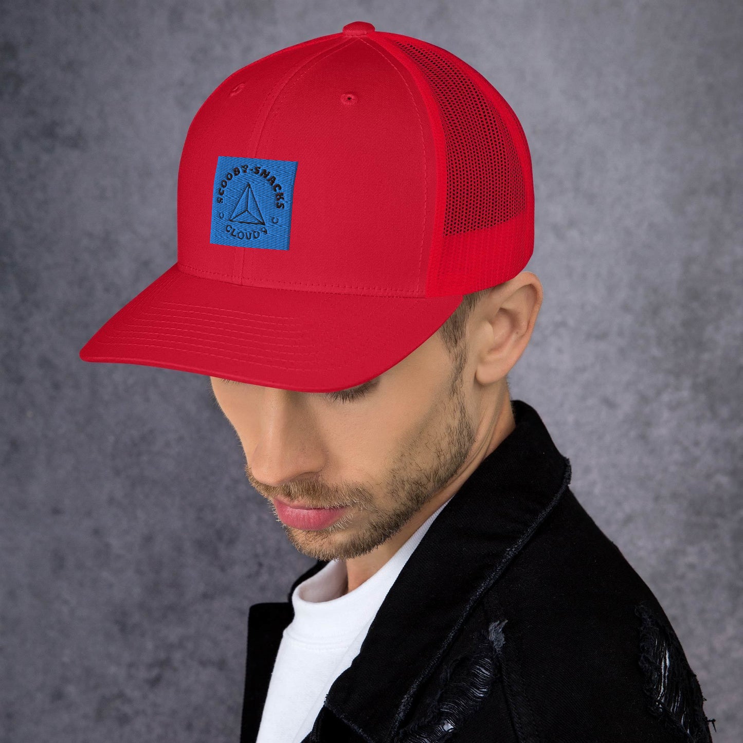 Cloud9 (Trucker Cap)