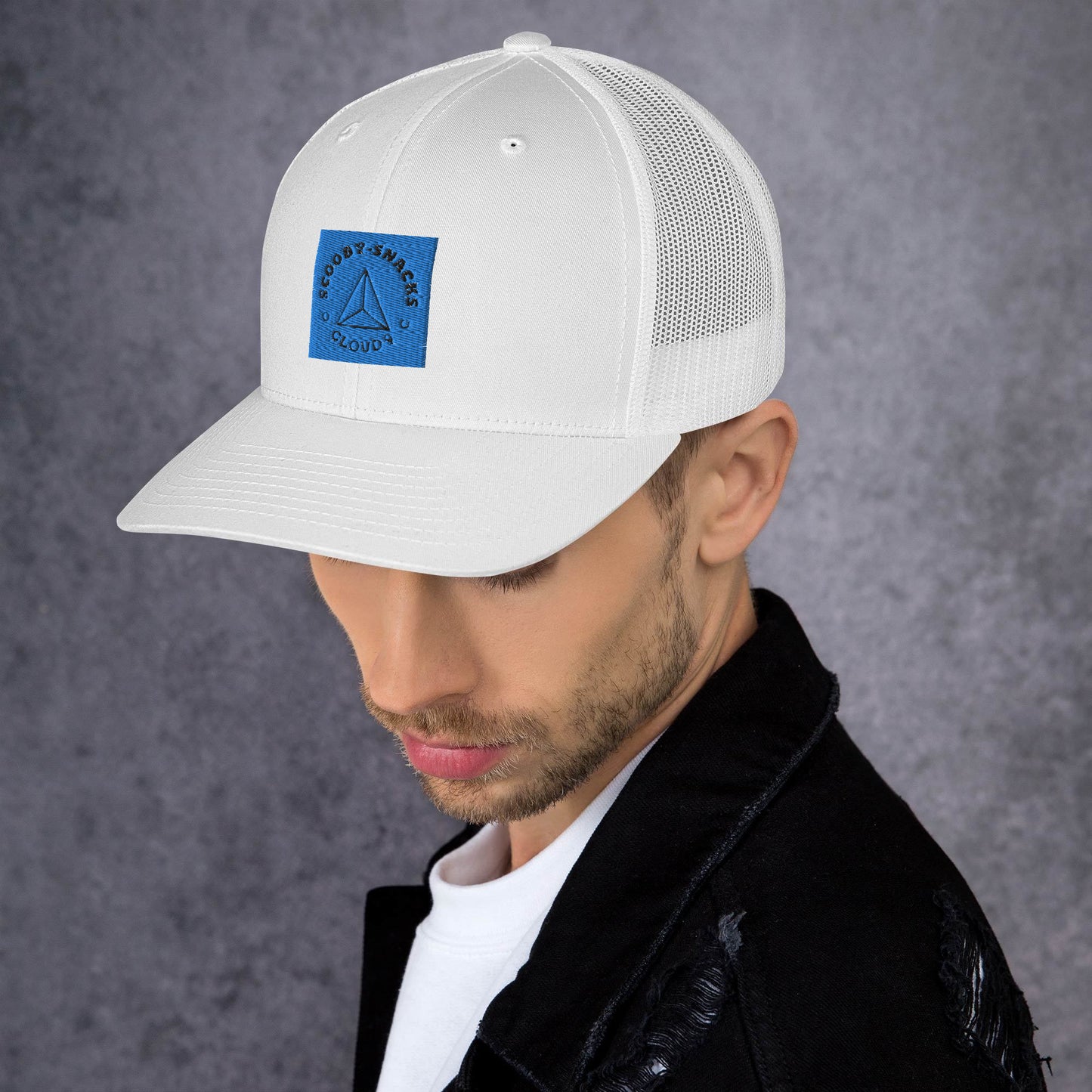 Cloud9 (Trucker Cap)